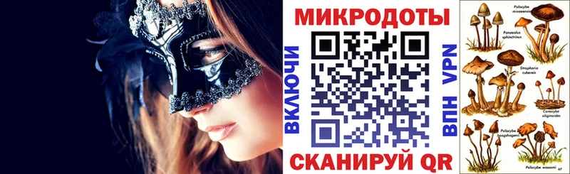 Псилоцибиновые грибы Psilocybine cubensis  как найти   Чебоксары 