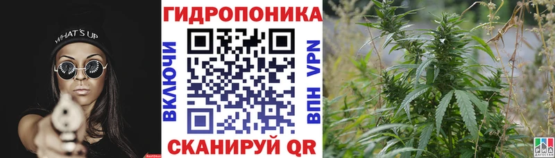 Каннабис SATIVA & INDICA  omg маркетплейс  Чебоксары  даркнет сайт 